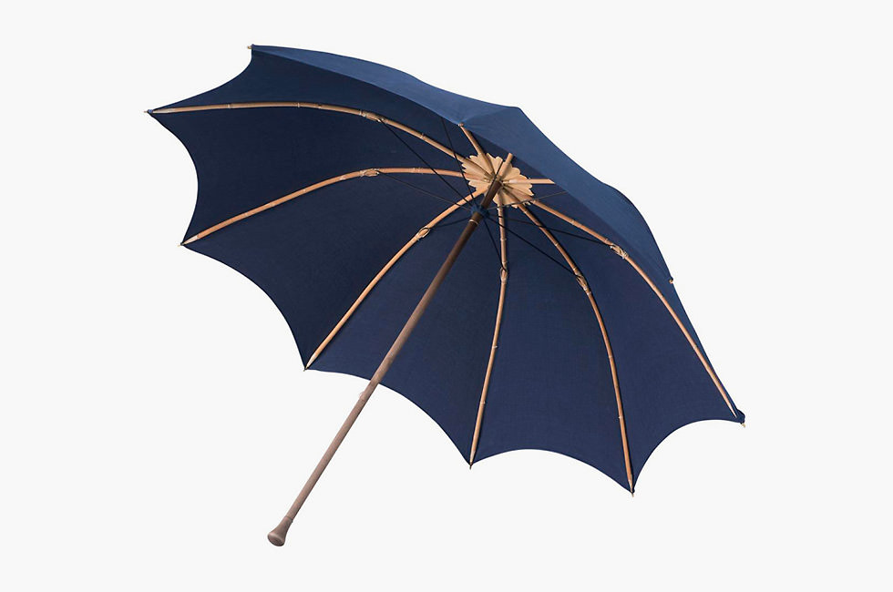 visvim Atelier Umbrella