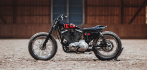 Hookie Co. Tasmanian Devil Harley Davidson XLH 883