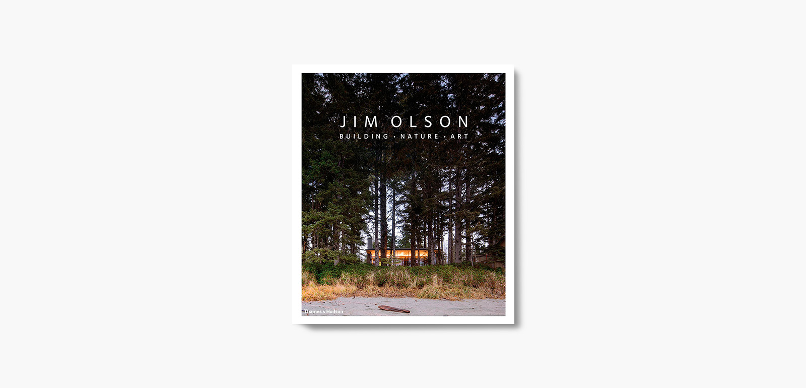 Jim Olson Building Nature Art