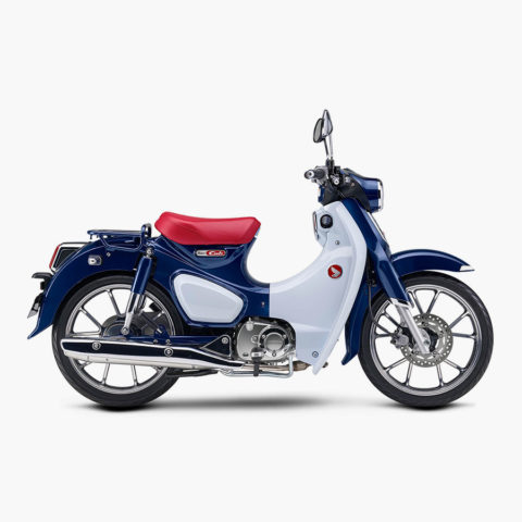 2019 혼다 슈퍼커브 C125
