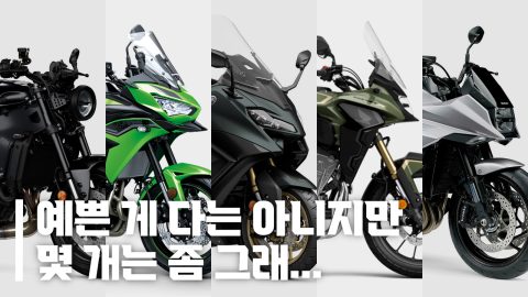 2022년형 연식변경 바이크 5대 살펴보기