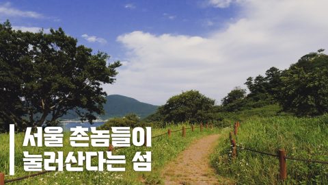 인생 현타왔을 때 제대로 리셋할 수 있는 곳
