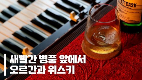 사장님이 욕도 해주고 오르간 쳐 주는 술집 충무로 ‘콩코드 서울’