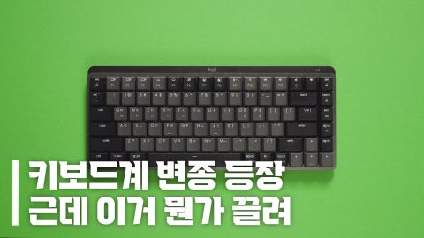 호불호 명확, 로지텍 MX 기계식 키보드 솔직 리뷰