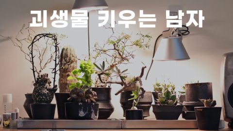 괴생물 키우는 데 500만 원 넘게 쓴 남자 이야기