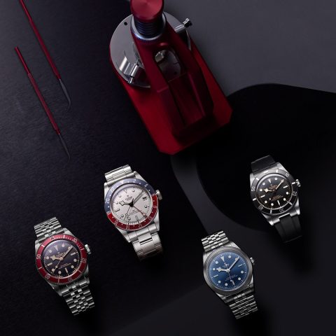더 깊은 곳까지, 2023 튜더 블랙 베이