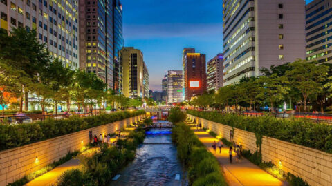 낭만 치사량 초과, 청계천 데이트 코스 추천