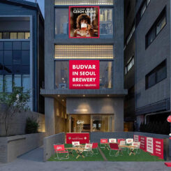 1인당 맥주 소비량이 가장 많은 나라의 생맥주 맛은?