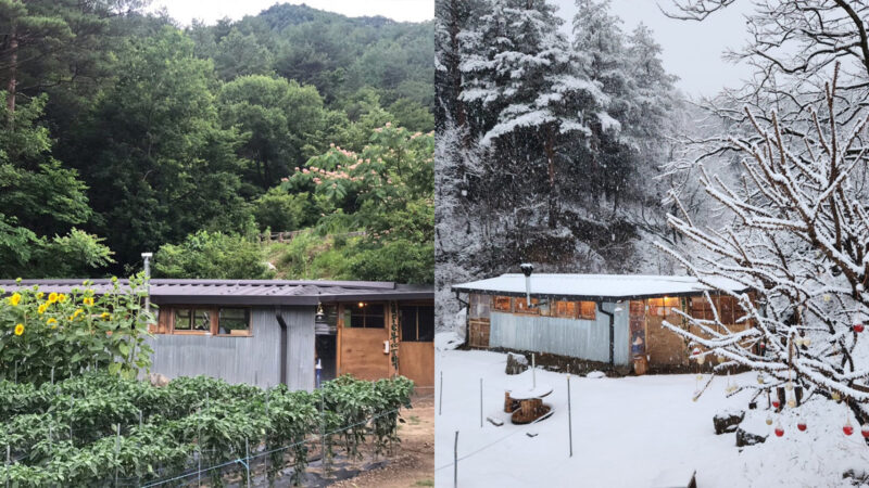 촌캉스 아느칸가