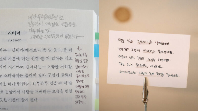 교환독서 피프티북스