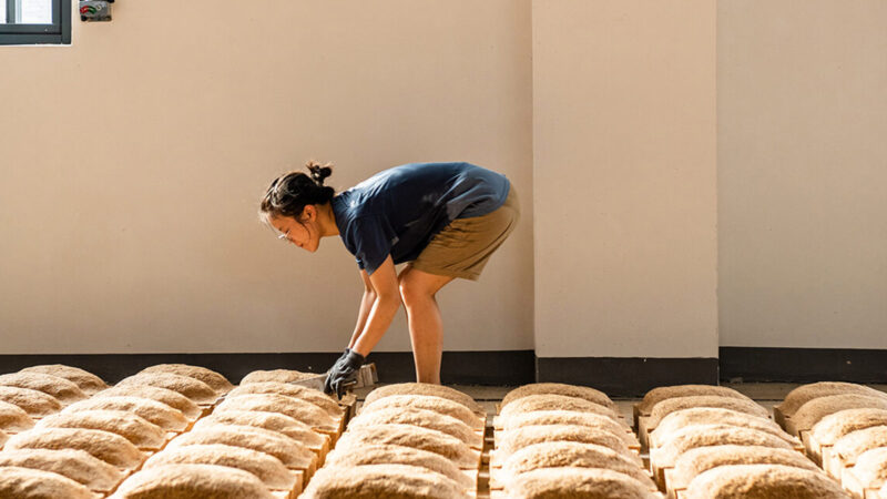 바이주 마오타이