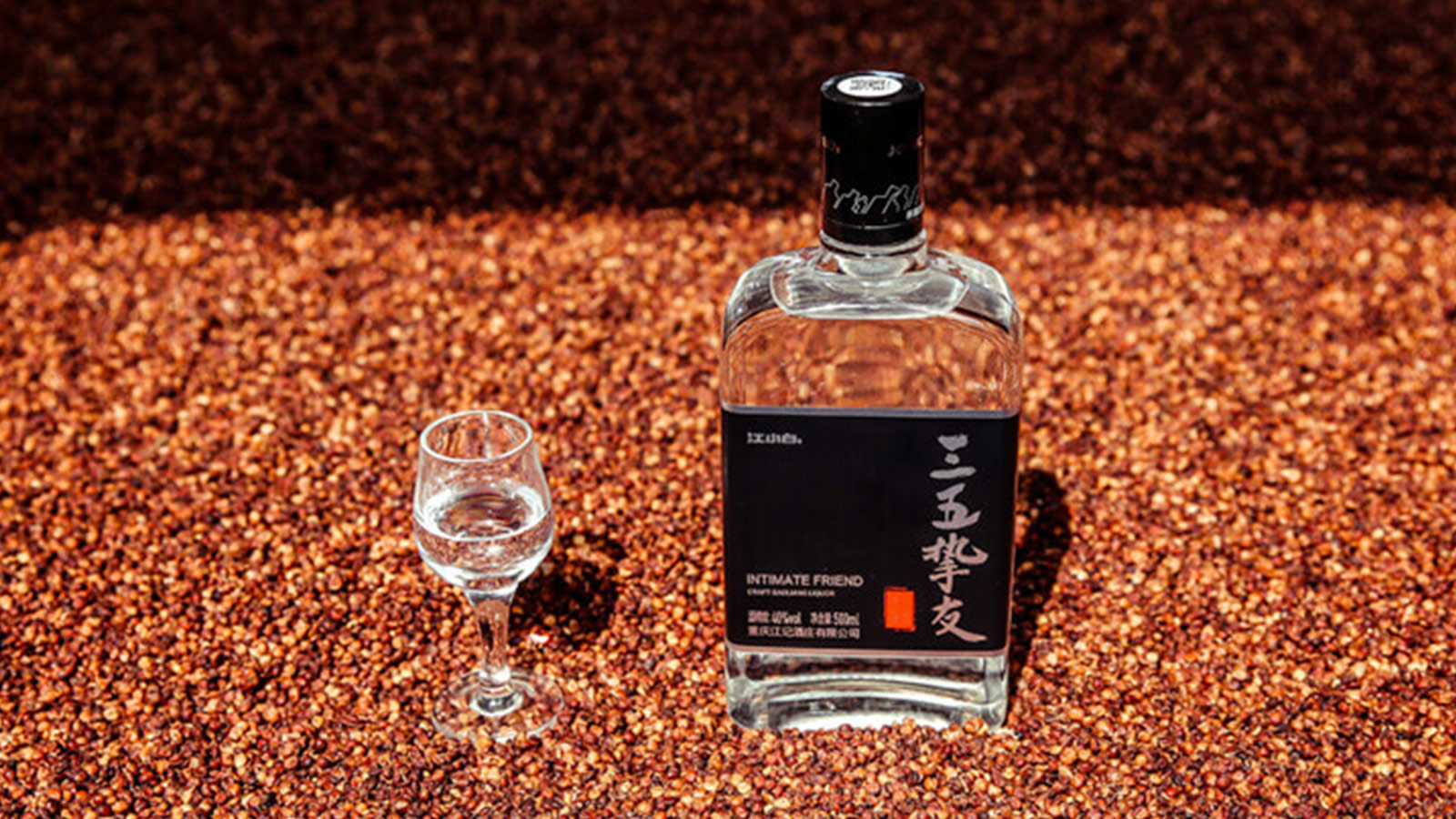 바이주 입문 가이드