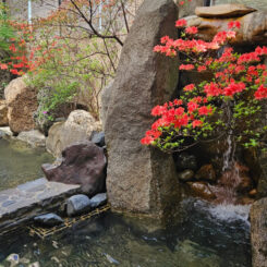 서울에서 1시간, 서울 근교 노천탕은?