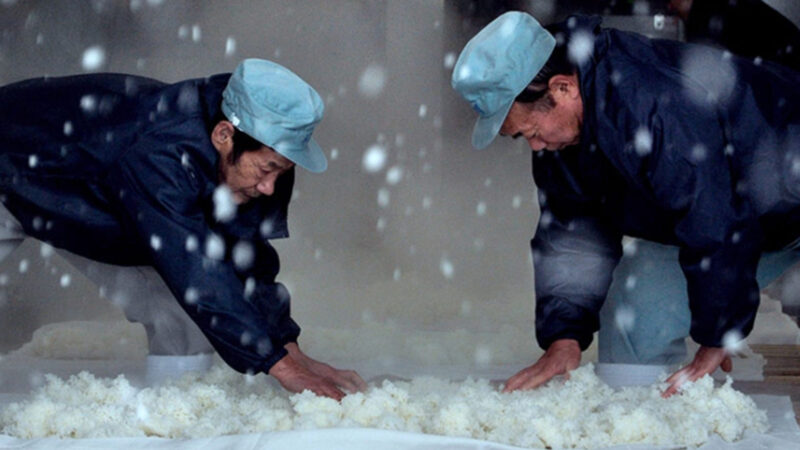 니혼슈 입문 가이드