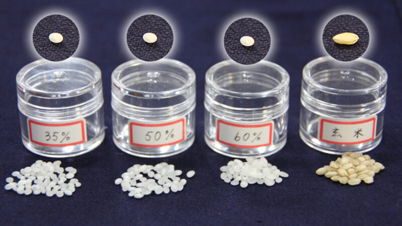 니혼슈 입문 가이드