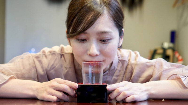 니혼슈 입문 가이드