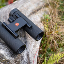 탐조 취미를 위한 준비물? 라이카 녹티비드 컴팩트