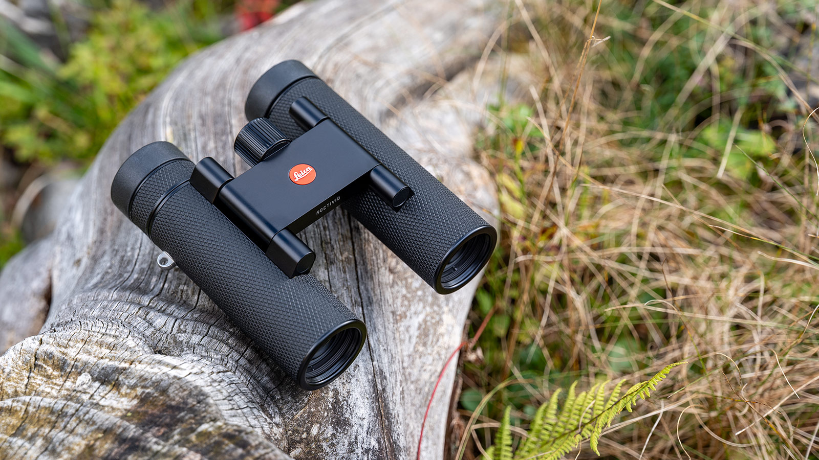 라이카 녹티비드 컴팩트 쌍안경