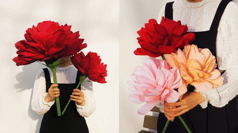 가든앳홈 자이언트 카네이션