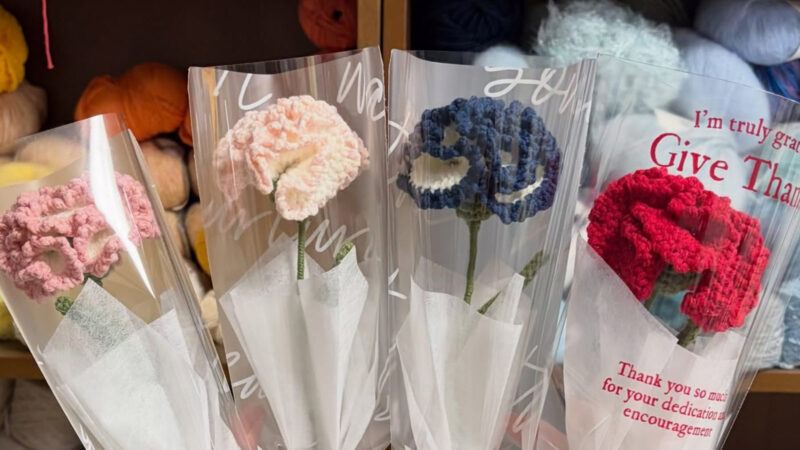 앗뜨개 뜨개 카네이션