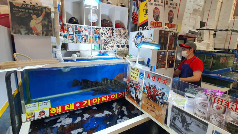해태기아